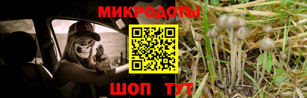 Псилоцибиновые грибы GOLDEN TEACHER Югорск