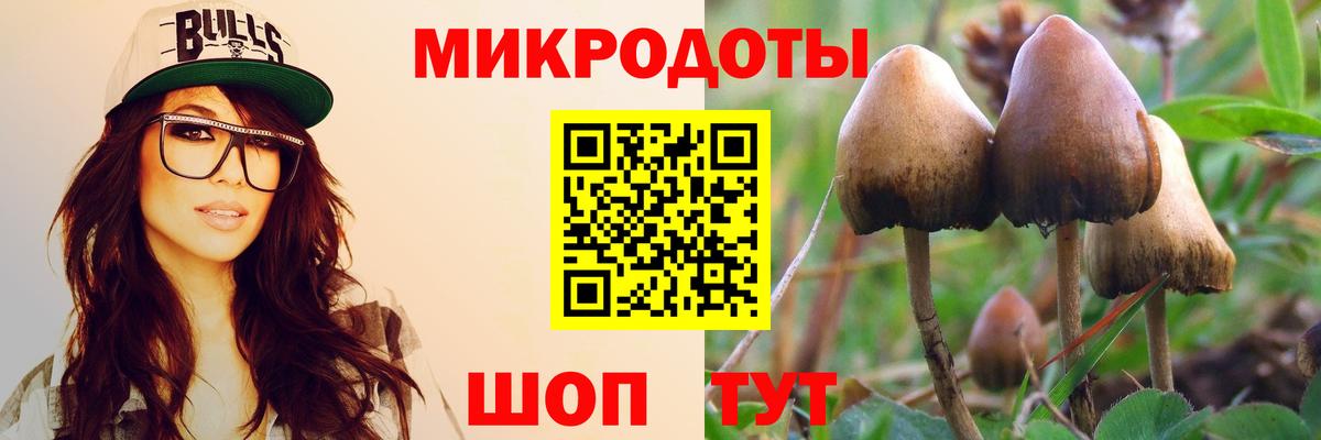 Псилоцибиновые грибы MAGIC MUSHROOMS  Галлюциногенные грибы Magic Shrooms  Вход с VPN  где найти наркотики  Югорск 